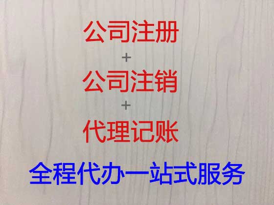 那曲市公司注册-财务代理记账